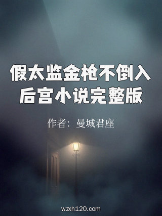 假太监金枪不倒入后宫小说完整版