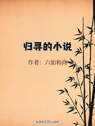 归寻的小说