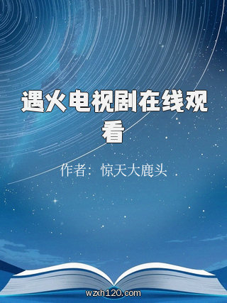 遇火电视剧在线观看