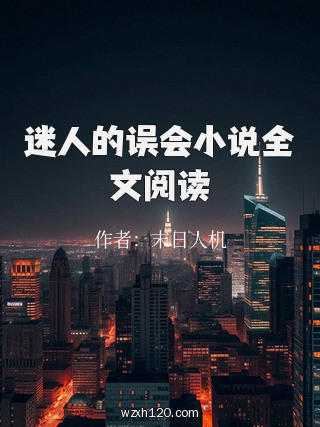 迷人的误会小说全文阅读