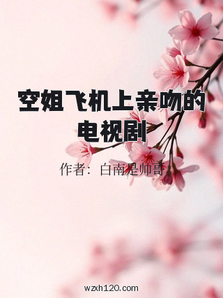 空姐飞机上亲吻的电视剧