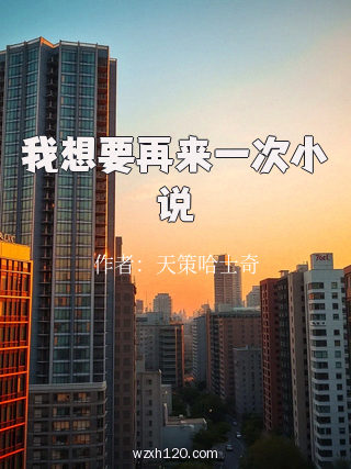 我想要再来一次小说
