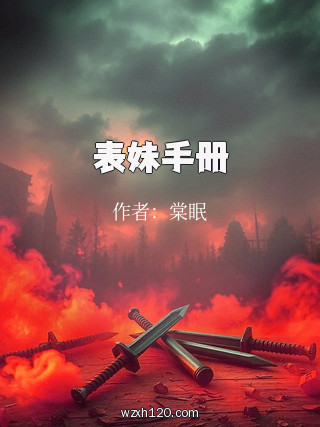 表妹手册