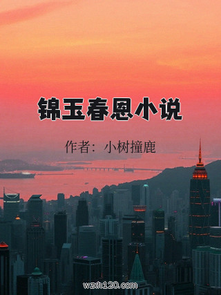 锦玉春恩小说