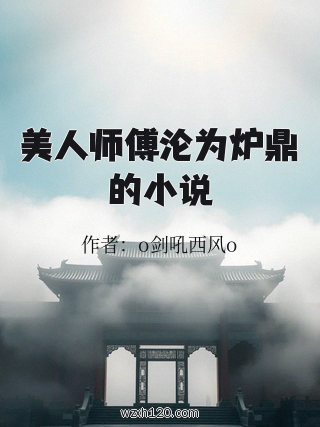 美人师傅沦为炉鼎的小说