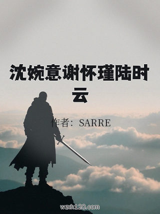 沈婉意谢怀瑾陆时云
