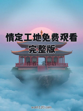 情定工地免费观看完整版