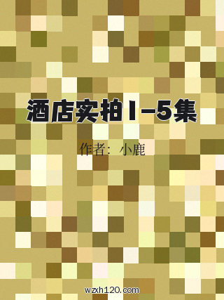 酒店实拍1-5集