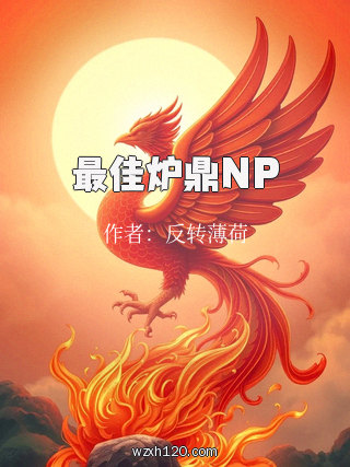 最佳炉鼎NP