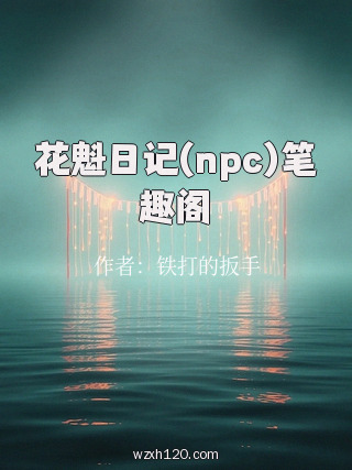 花魁日记(npc)笔趣阁
