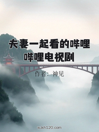 夫妻一起看的哔哩哔哩电视剧