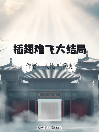 插翅难飞大结局