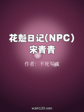 花魁日记(NPC)宋青青