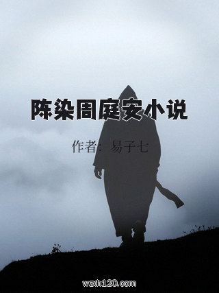 陈染周庭安小说