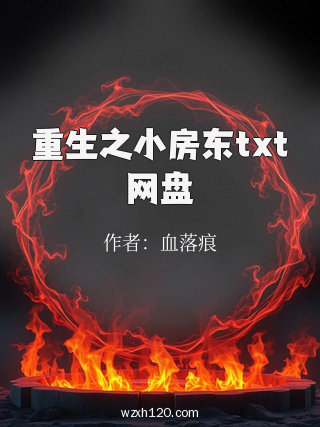重生之小房东txt网盘