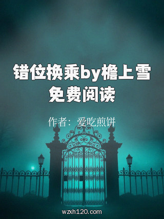 错位换乘by檐上雪免费阅读