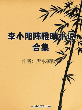 李小阳陈雅晴小说合集