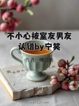 不小心被室友男友认错by宁笑