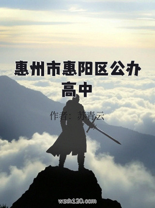 惠州市惠阳区公办高中