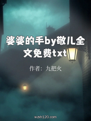 婆婆的手by敬儿全文免费txt