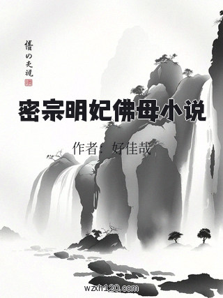 密宗明妃佛母小说