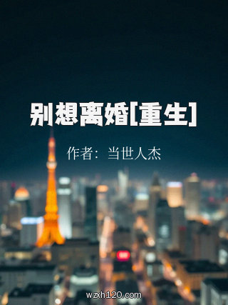 别想离婚[重生]