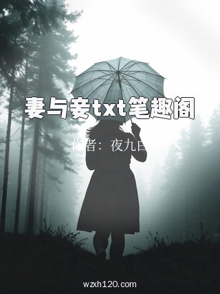 妻与妾txt笔趣阁