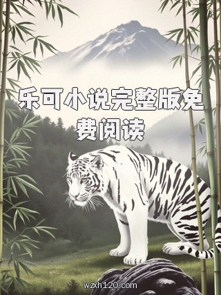 乐可小说完整版免费阅读