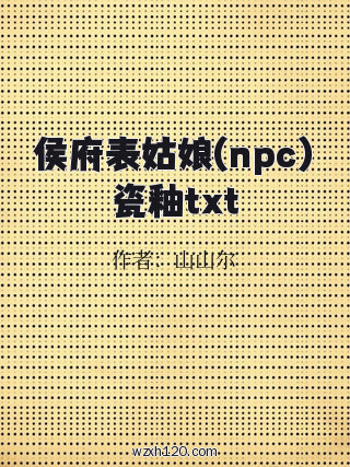 侯府表姑娘(npc)瓷釉txt