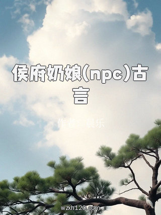 侯府奶娘(npc)古言