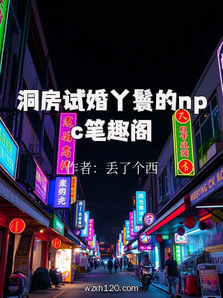 洞房试婚丫鬟的npc笔趣阁