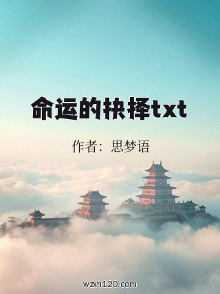 命运的抉择txt