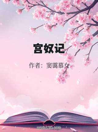 宫奴记