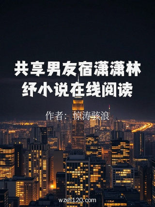 共享男友宿潇潇林纾小说在线阅读