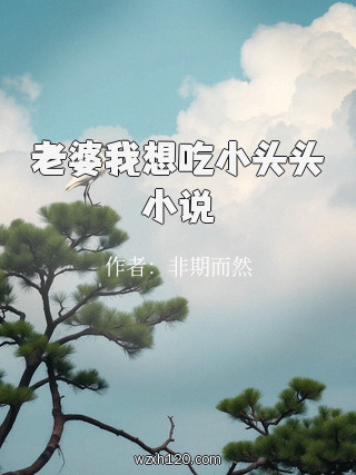 老婆我想吃小头头小说