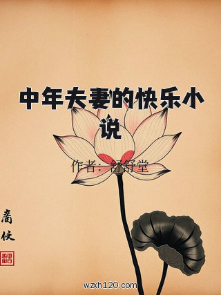 中年夫妻的快乐小说