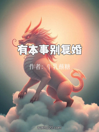 有本事别复婚