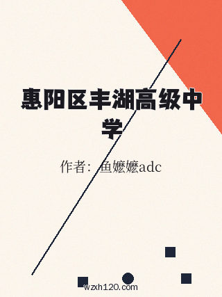 惠阳区丰湖高级中学