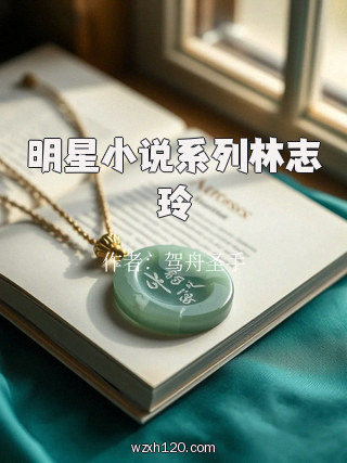 明星小说系列林志玲
