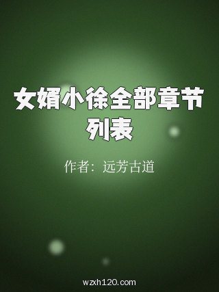 女婿小徐全部章节列表