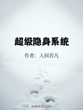 超级隐身系统