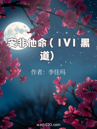 安非他命( 1V1 黑道)