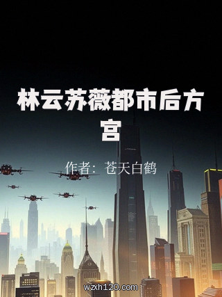 林云苏薇都市后方宫
