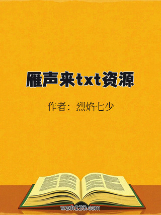 雁声来txt资源