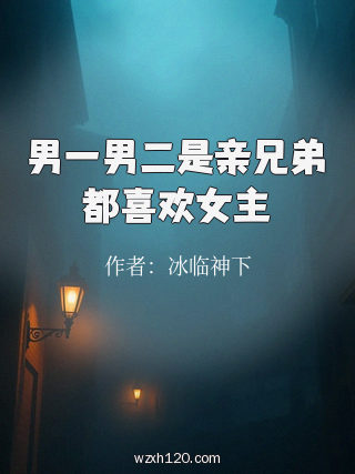 男一男二是亲兄弟都喜欢女主