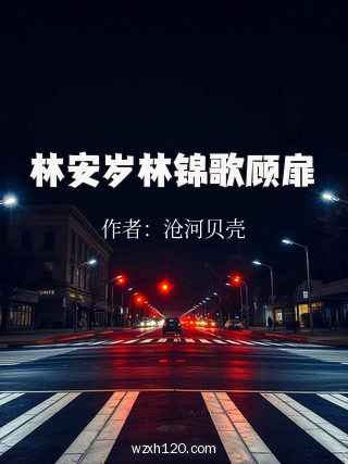 林安岁林锦歌顾扉