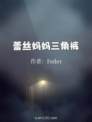 蕾丝妈妈三角裤