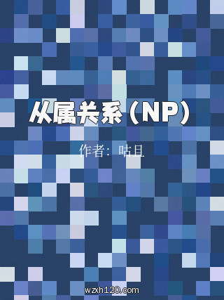 从属关系(NP)