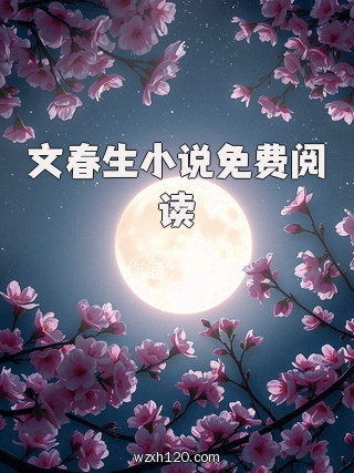 文春生小说免费阅读
