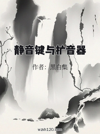 静音键与扩音器